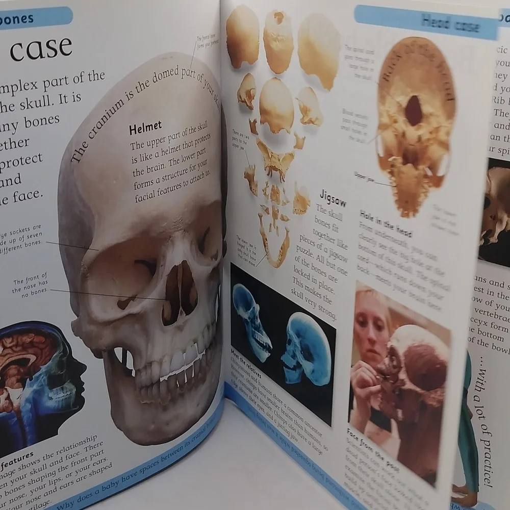 First Human Body Book Encyclopedia First Edition 2005